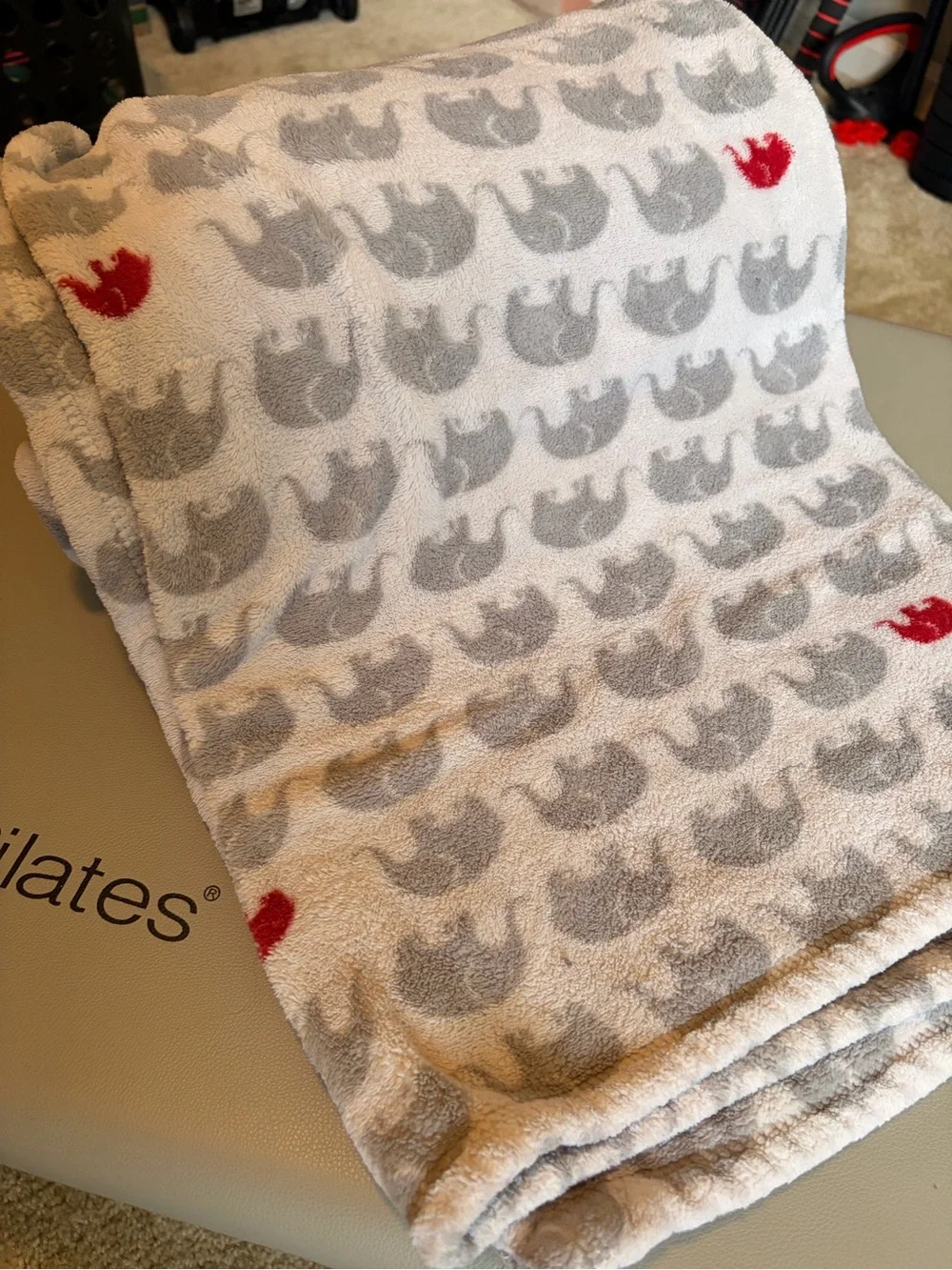 Gray & White Elephant Pattern Throw with Red Accents